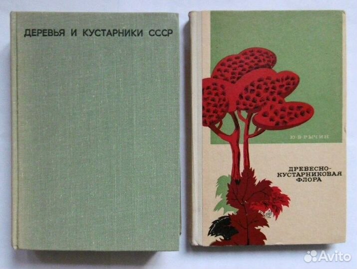 Природа, путешествия