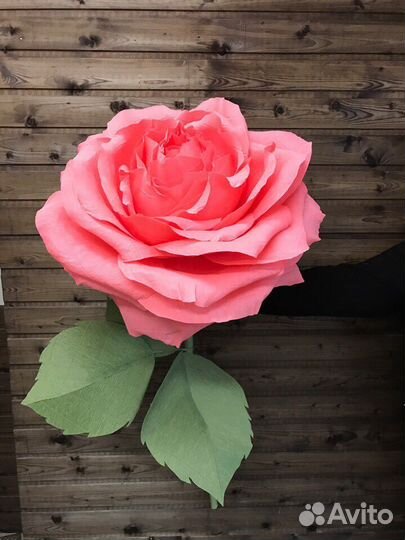 Большие цветы для декора и фотосессий