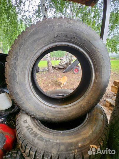 Formula Ice 215/65 R16 98T