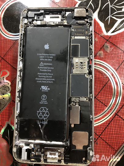 iPhone 5 и 6 плюс