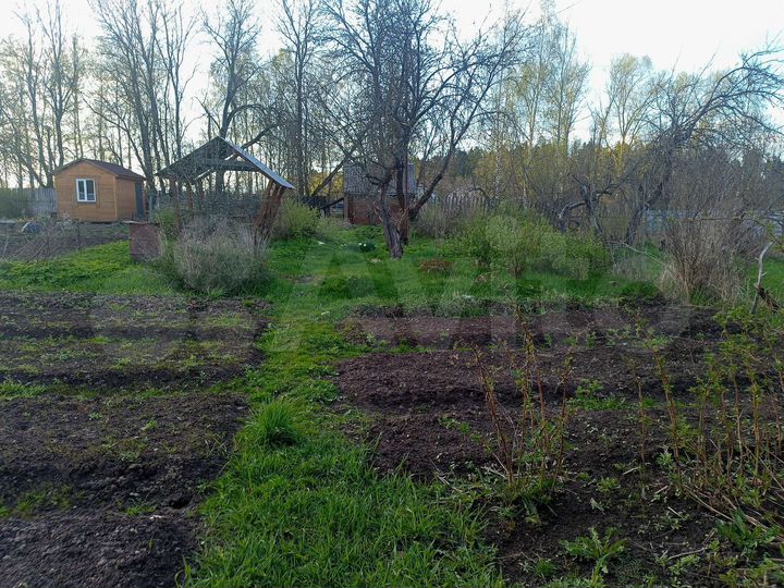 Участок 4 сот. (СНТ, ДНП)