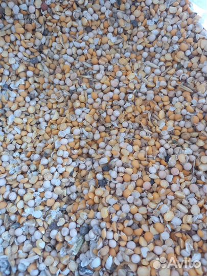 Горох колотый