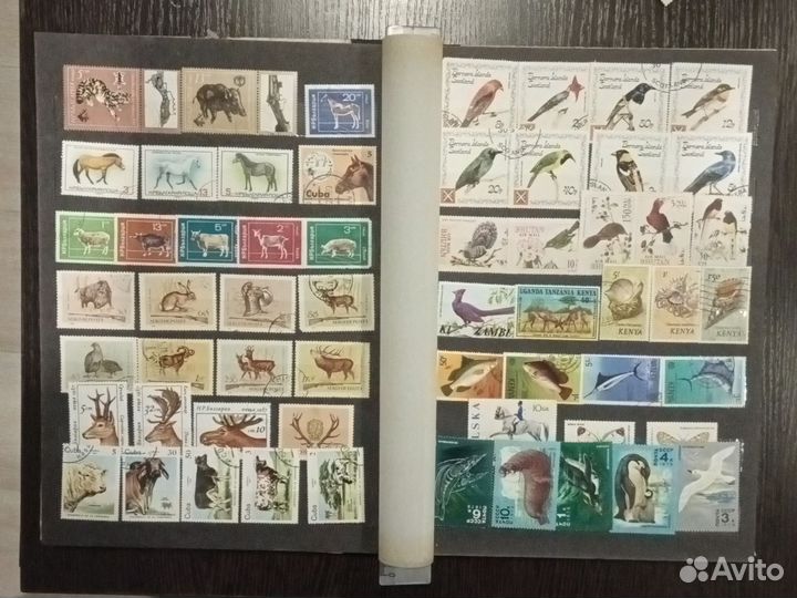 Марки флора и фауна