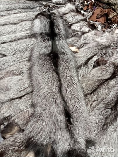 Шкурки лисы серебристо-черной