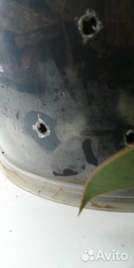 Грунт для орхидей