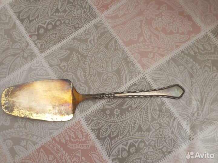 Лапчатка мельхиор