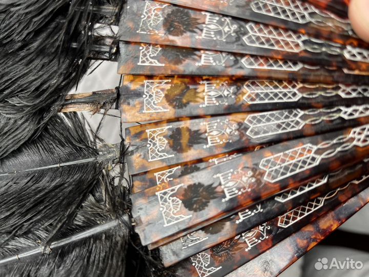 Веер черепаха