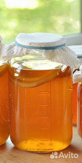 Чайный гриб