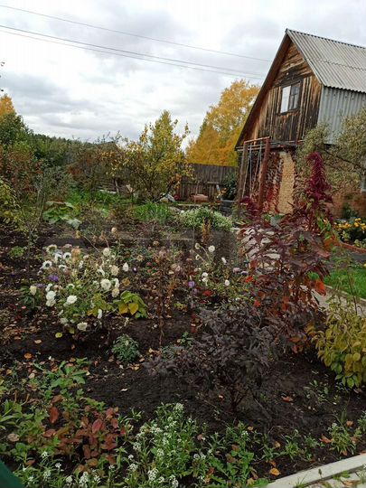 Дача 24 м² на участке 5 сот.