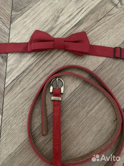 Samm (бабочка и ремень)