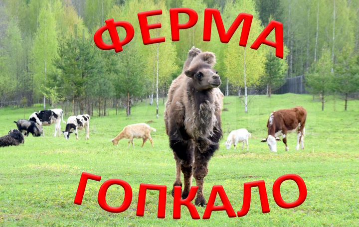 Участок 24 сот. (ИЖС)