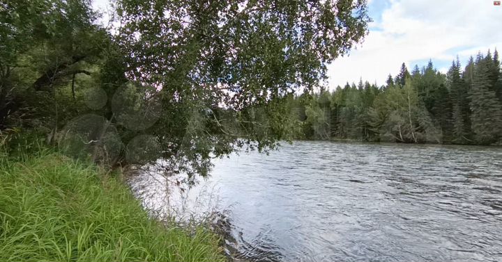 Участок 1,7 га (СНТ, ДНП)