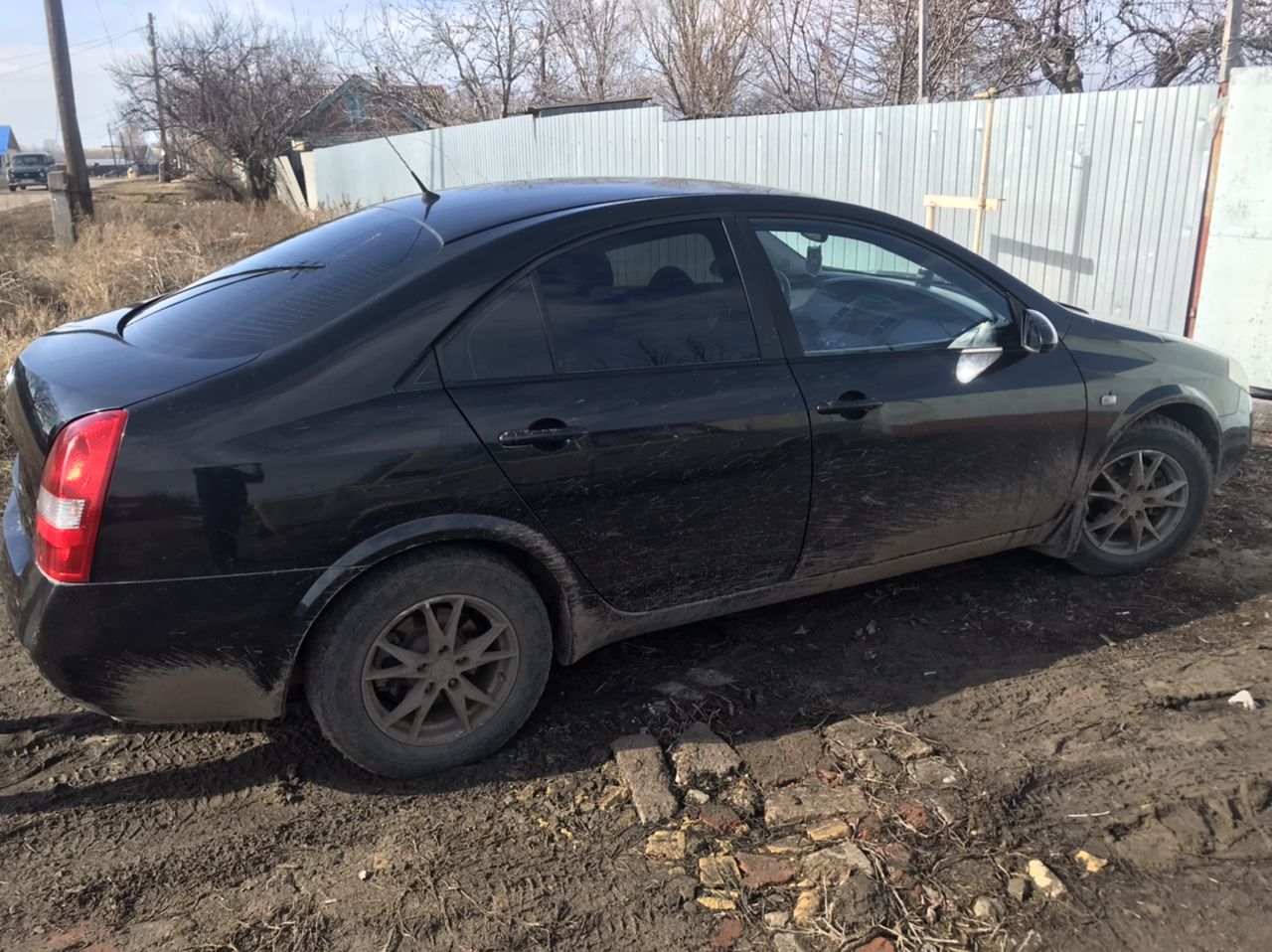 Nissan Primera: фото владельца