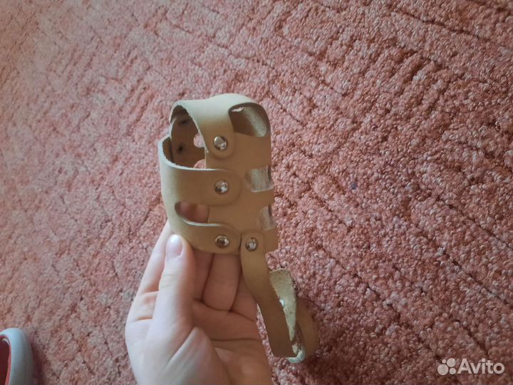 Вещи для собак