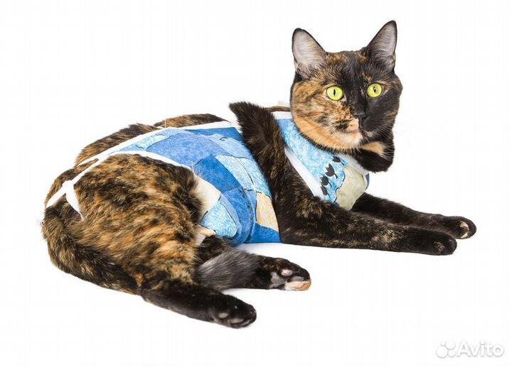 Стерилизация кошек. Стерилизация собак. С выездом