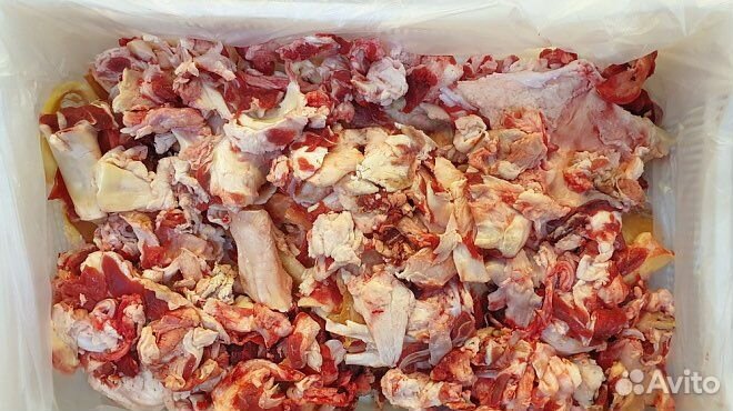 Жилка говяжья