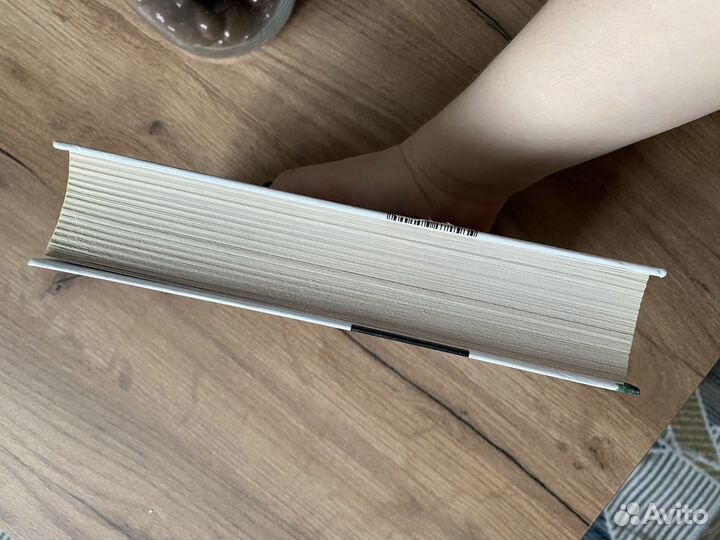 Книга Балтиморов