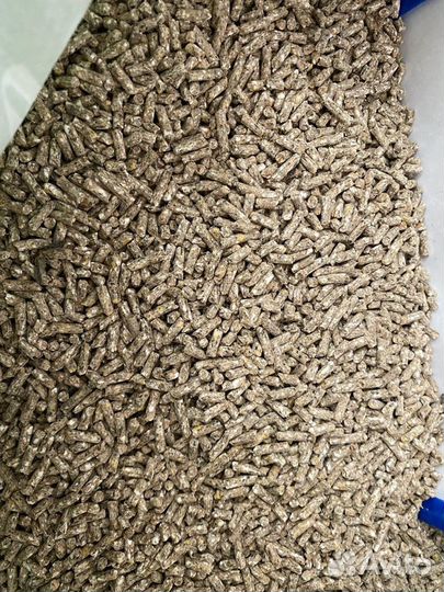 Комбикорм для телят до 4 месяцев кк-62-101