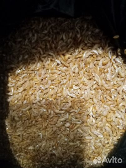 Корм для аквариумных рыбок