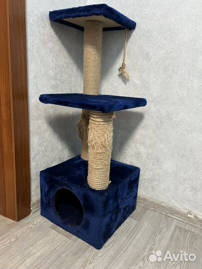 Когтеточка