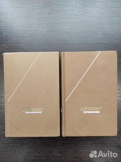 Шеллинг, Соловьёв Владимир - философское наследие