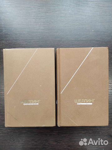 Шеллинг, Соловьёв Владимир - философское наследие