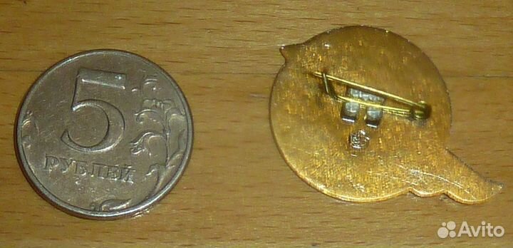 Лыжный спорт Динамо Москва Лыжня-89