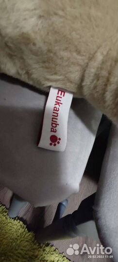 Мягкая игрушка собака лабрадор