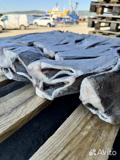 Палтус морской размером 1+ и 1