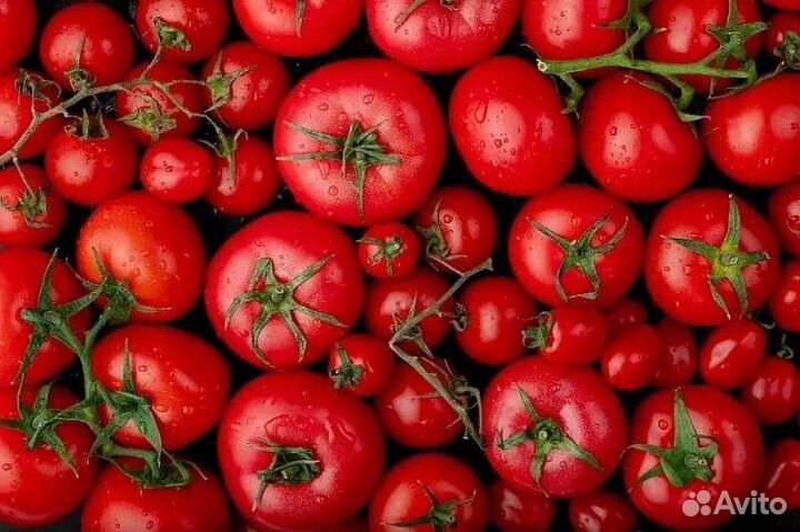 Помидоры, перец