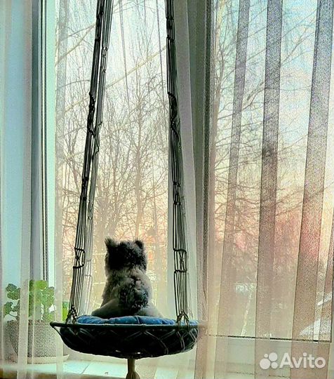 Подвесной гамак - лежанка для кошек