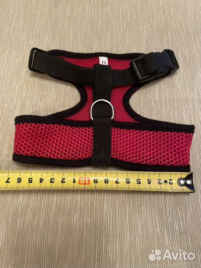 Новая шлейка для кошек и собак мелких пород. М
