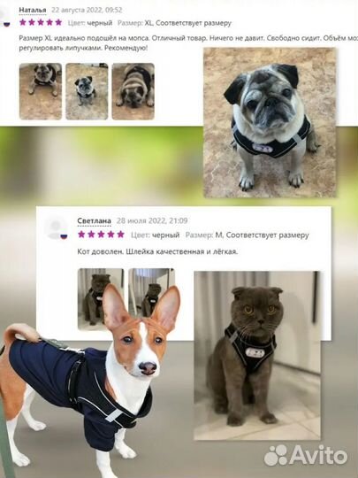 Шлейка для собаки