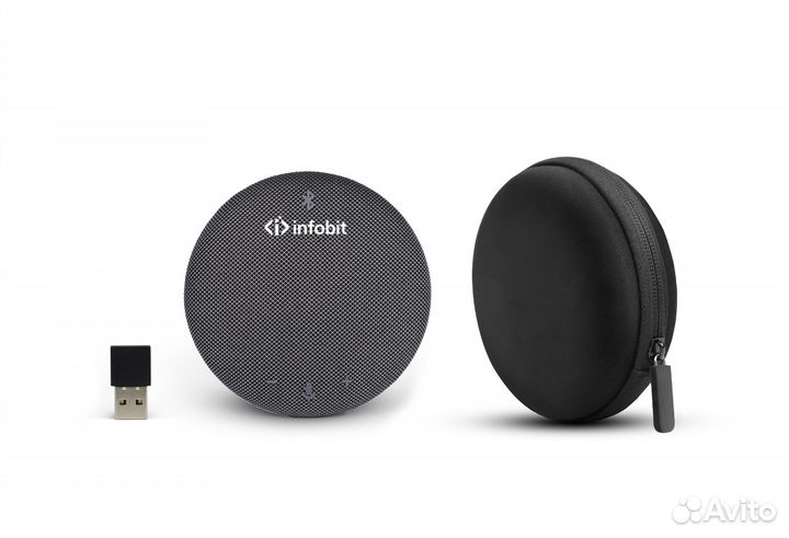 Спикерфон Infobit iSpeaker M230