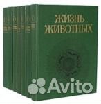 Жизнь животных