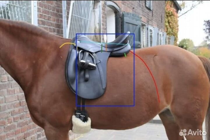 Седло конкурное выездковое. Независимый подбор