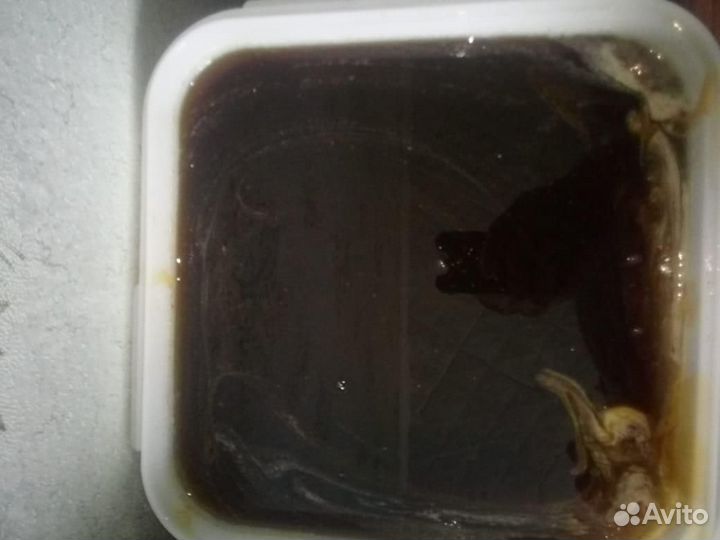 Свежий мёд с Алтая оптом 2023