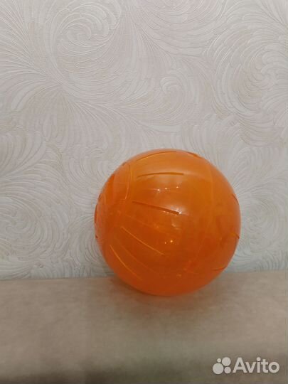 Прогулочный шар