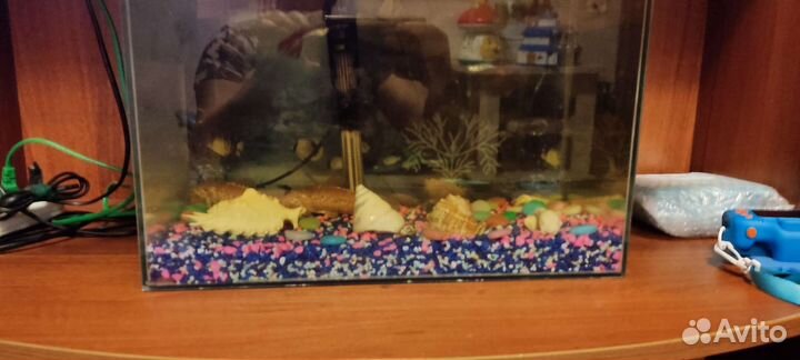 Аквариум
