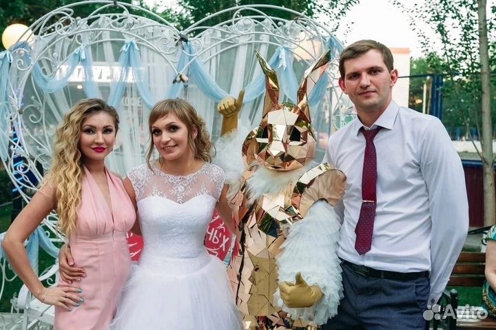 Ведущий на свадьбу, организатор мероприятий