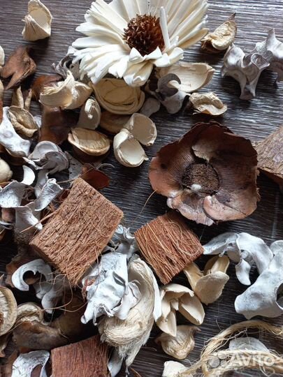 Интерьерные цветы, дерево