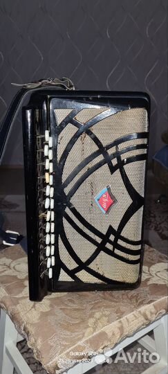 Гармонь чайка