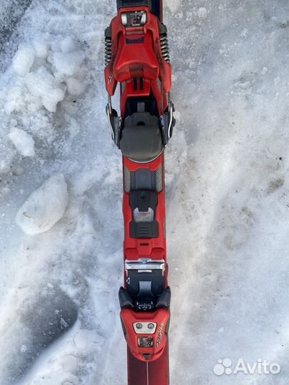 Горные лыжи