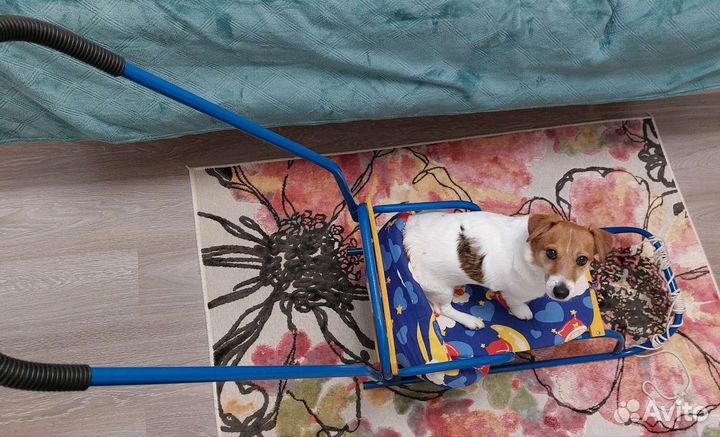 Санки детские