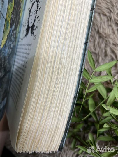 Джейн эйр Jane Eyre Penguin Classics