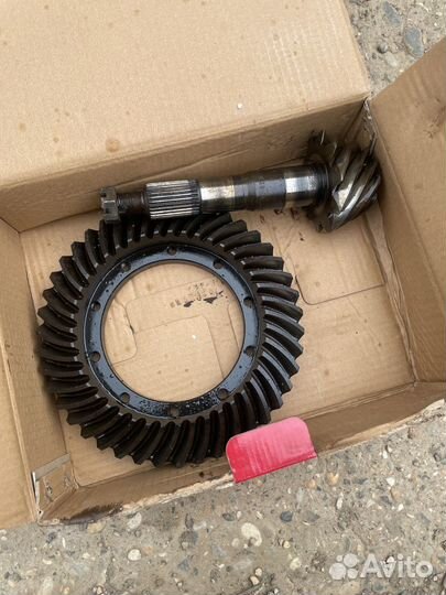 Планетарка хвоставик