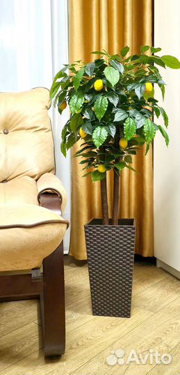 Декоративное дерево Лимон 150-160 см