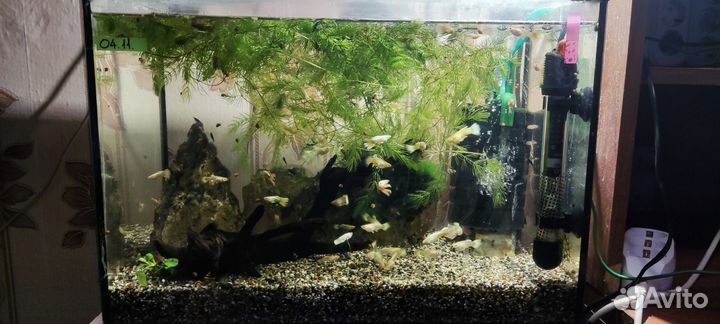 Продам аквариум