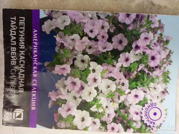 Вегетативная петуния