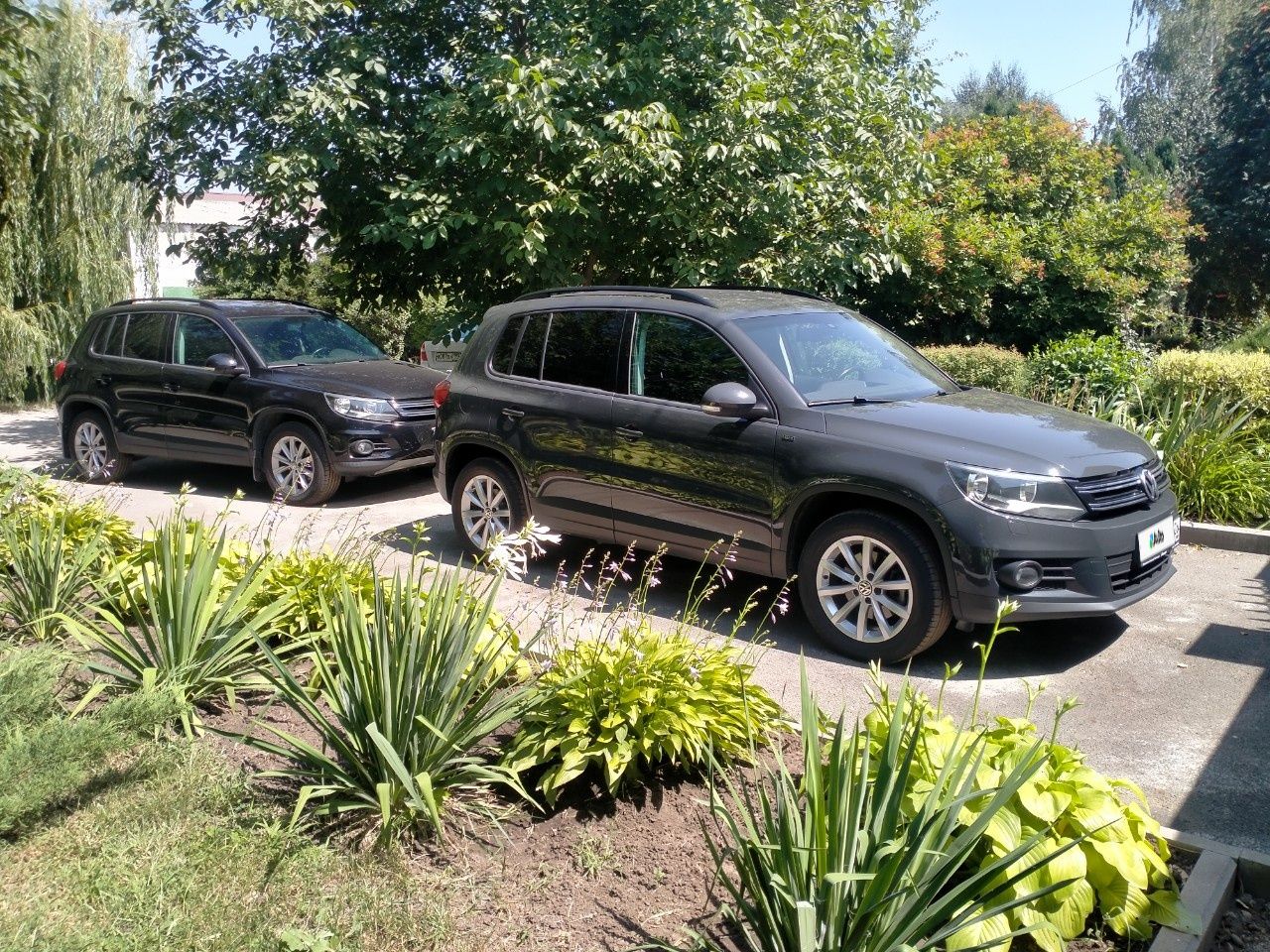 Volkswagen Tiguan: фото владельца